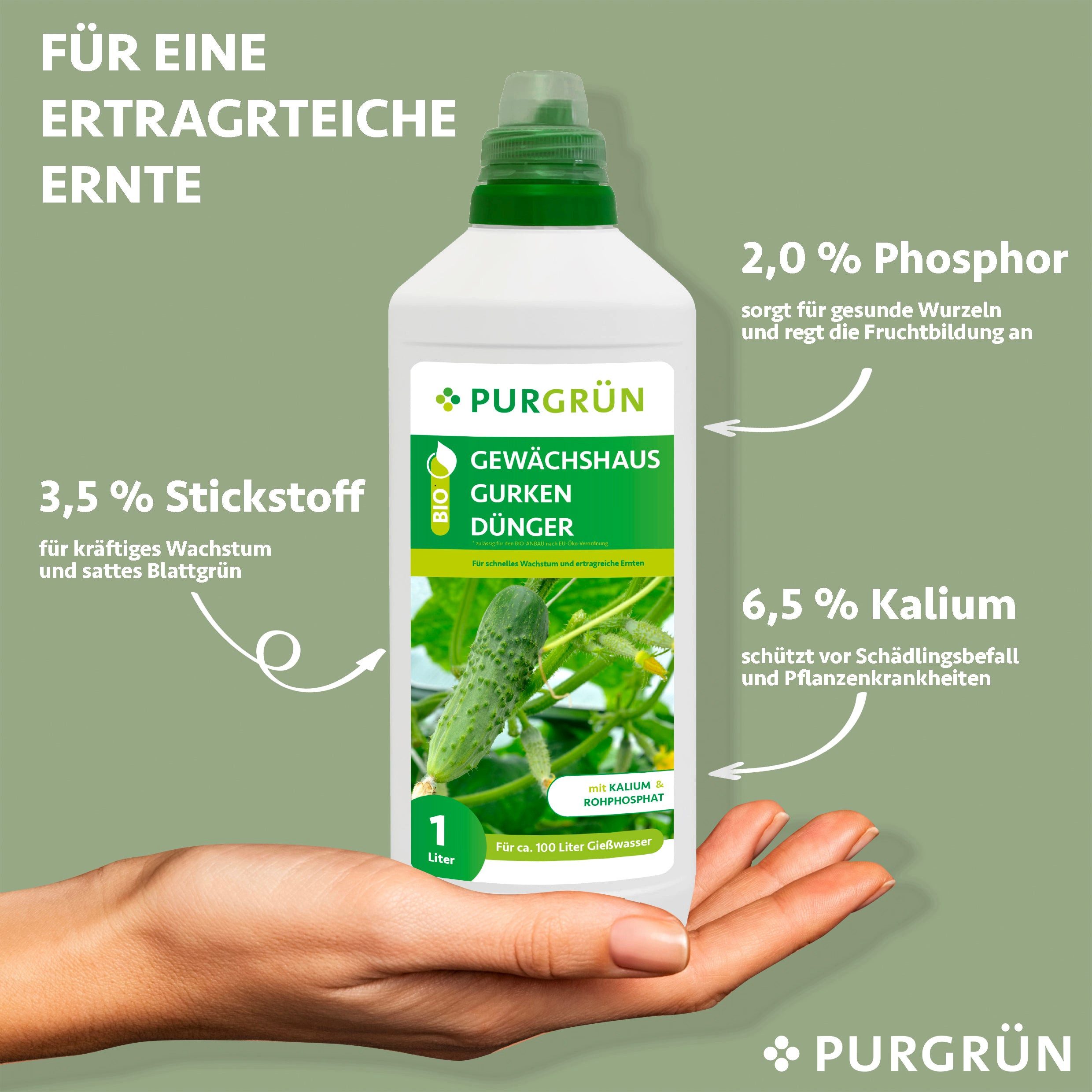 Thumbnail - Purgrün Gemüsedünger Purgrün Bio Gewächshausgurken Dünger, NPK 4+1+7, Algenextrakt, 1 Liter, Flüssigdünger, extra Kalium...