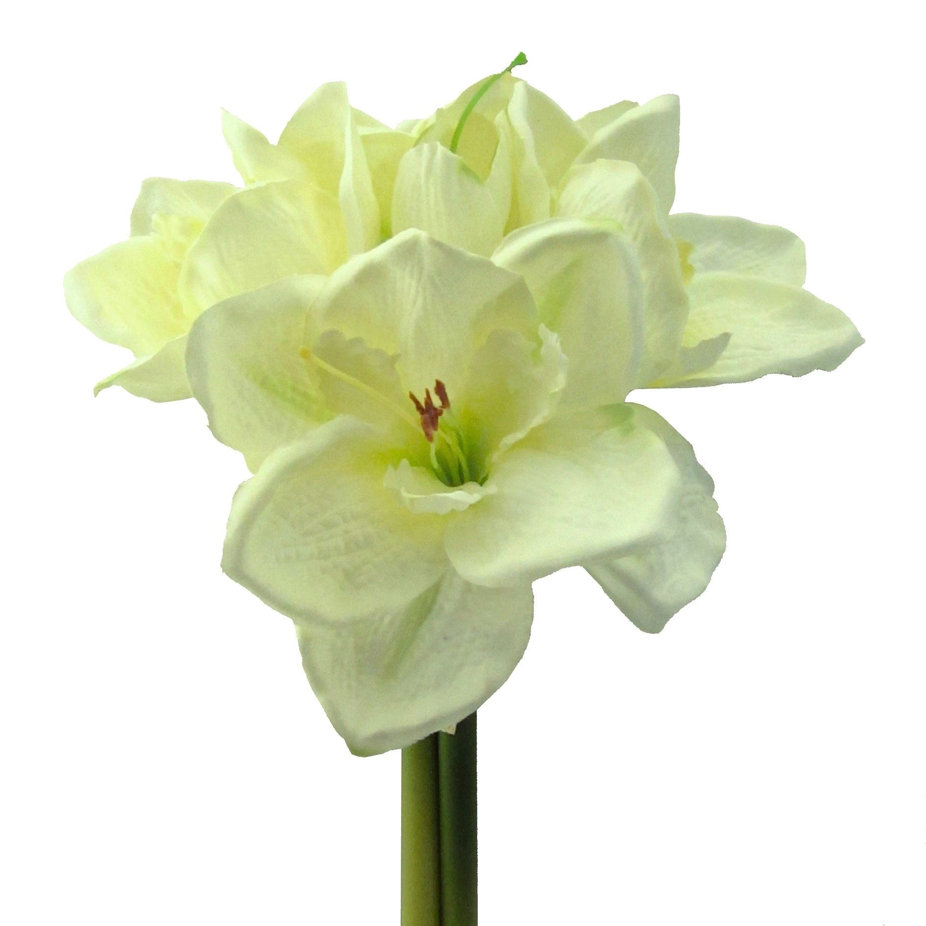 Kunstblume Kunstblume AMARYLLIS 32cm. BUND mit 3 Amarillis., Gasper, Höhe 3 günstig online kaufen