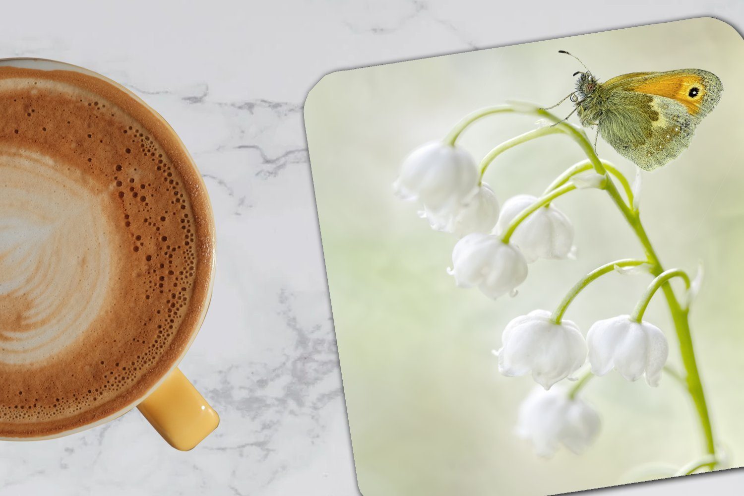 Schmetterling Ein Maiglöckchen, MuchoWow für Korkuntersetzer, Tasse Gläser, Tischuntersetzer, Untersetzer, einem Glasuntersetzer, auf Zubehör 6-tlg., Glasuntersetzer