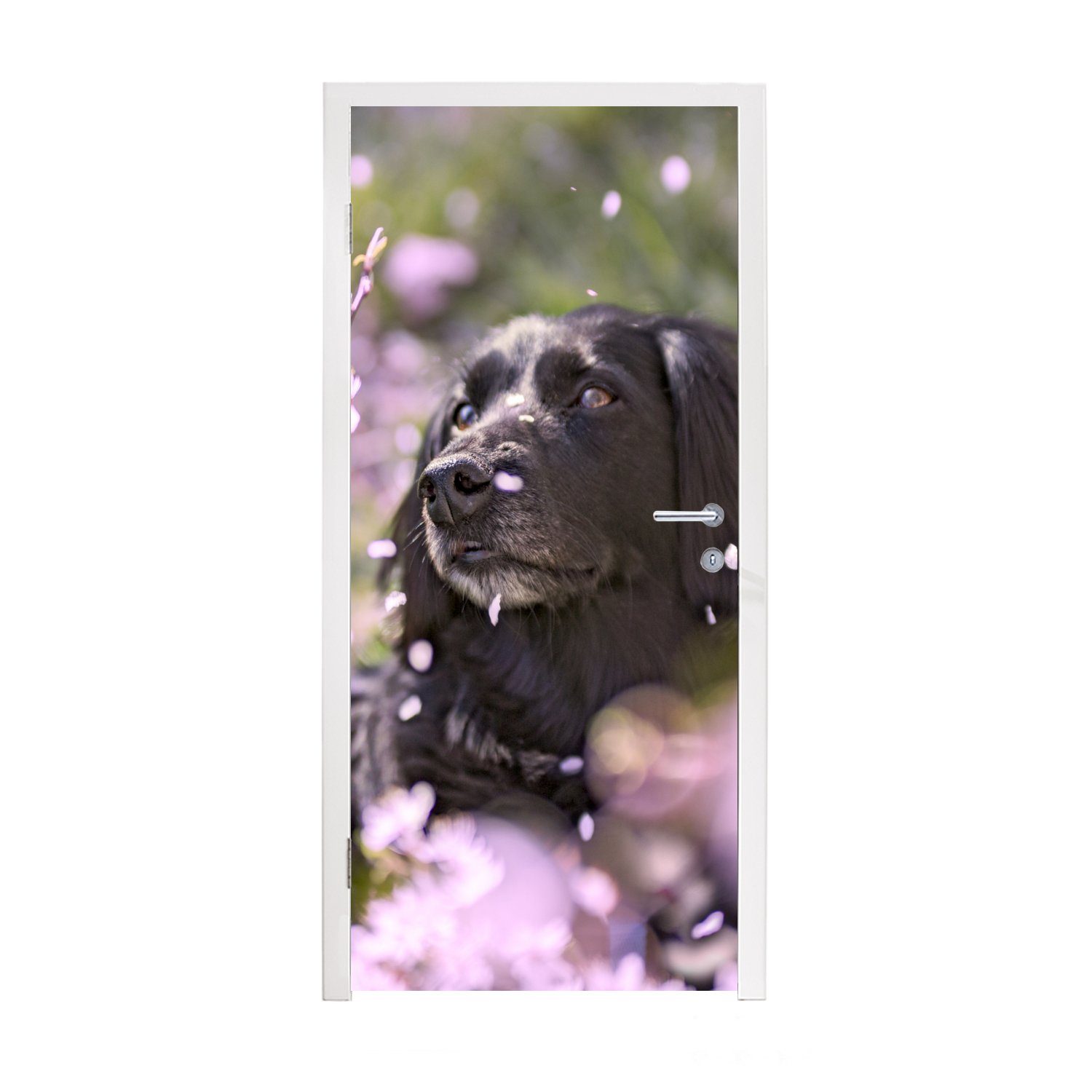 MuchoWow Türtapete Hund - Blumen - für Türaufkleber, bedruckt, Matt, Fototapete 75x205 Haustier, (1 St), Tür, cm