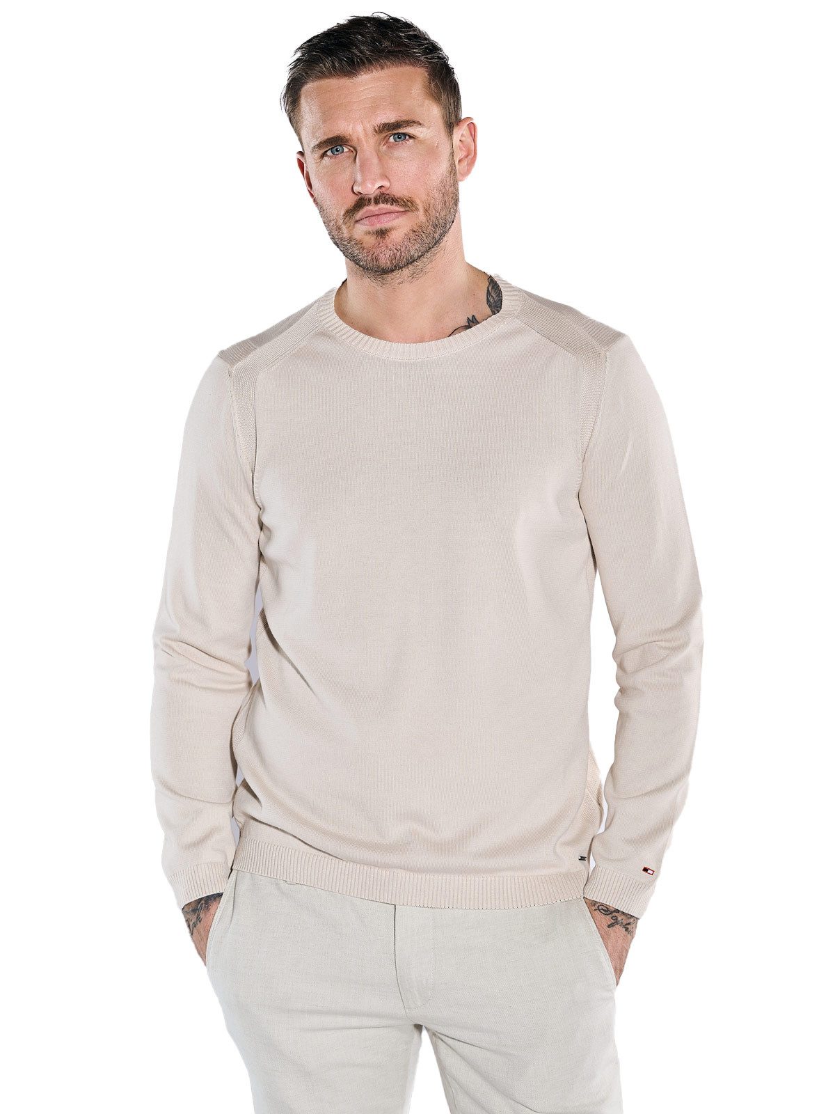 Rundhalspullover Herren Pullover regular, Beige