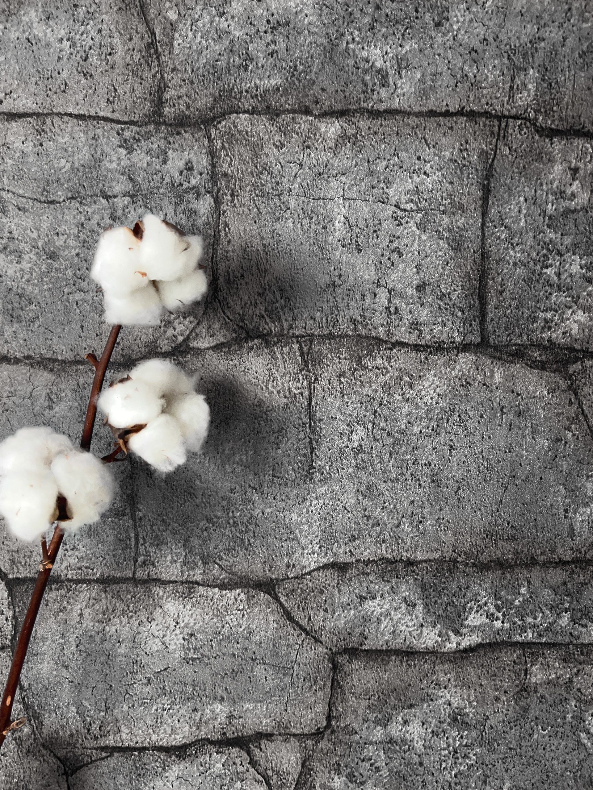 Newroom Vliestapete, Dunkelgrau Tapete Modern Stein - Steintapete Steinopti günstig online kaufen