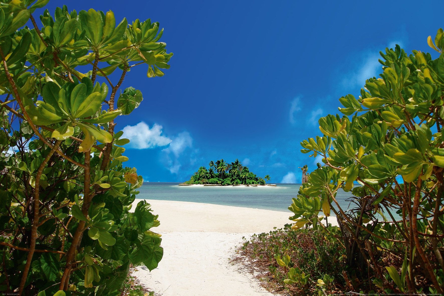 Papermoon Плакат POSTER Nr.089 Südseestrand, 61 X 91,5 CM, (Strand Beach Meer Palmen Sand Himmel Insel Island Querformat), genormte Плакатgröße für Rahmen, Bild Dekoration Wanddeko Motiv Tapete