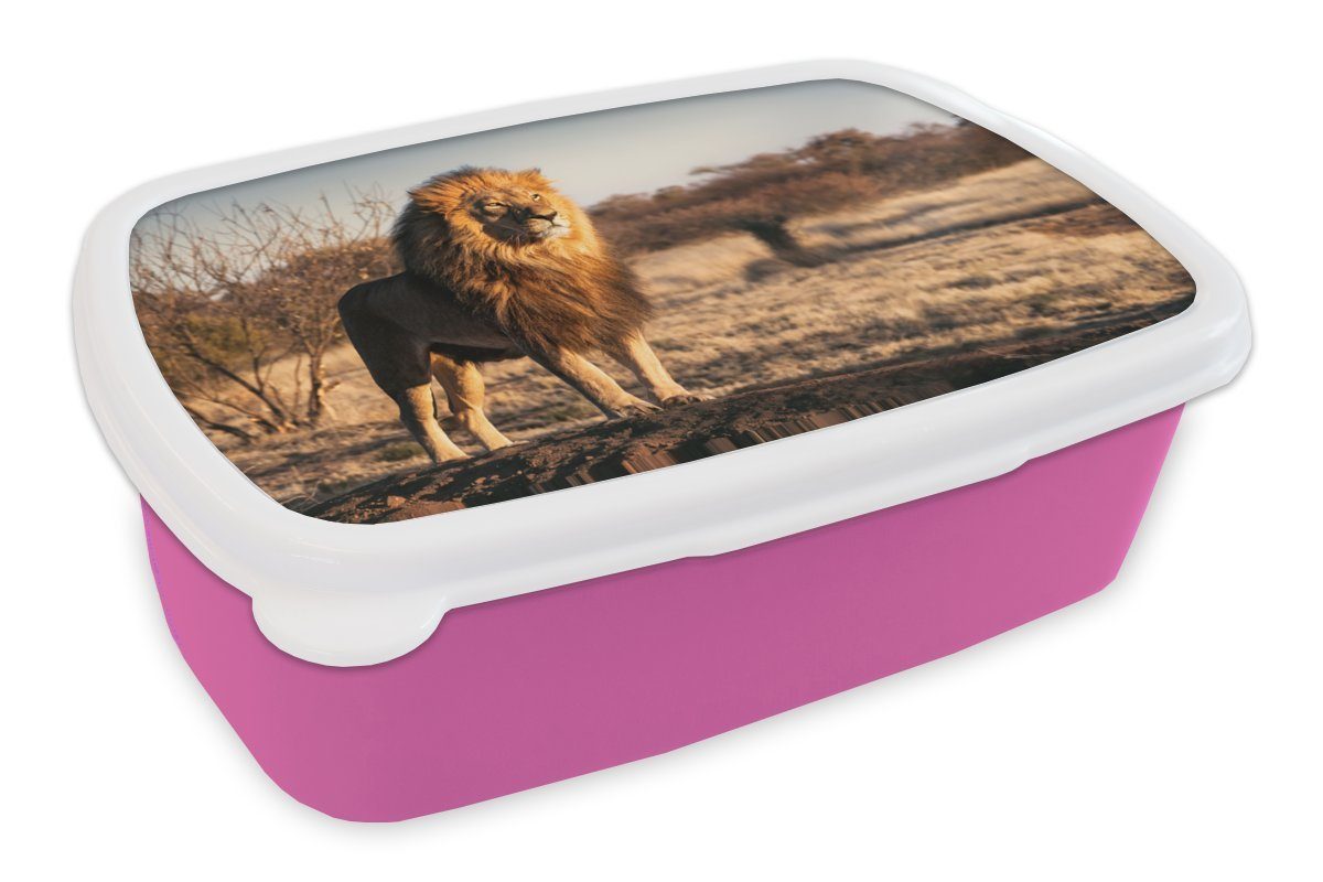 Brotbox Snackbox, Lunchbox Kinder, (2-tlg), MuchoWow rosa Mädchen, Erwachsene, - Sonne, - für Hügel Kunststoff, Kunststoff Brotdose Löwe
