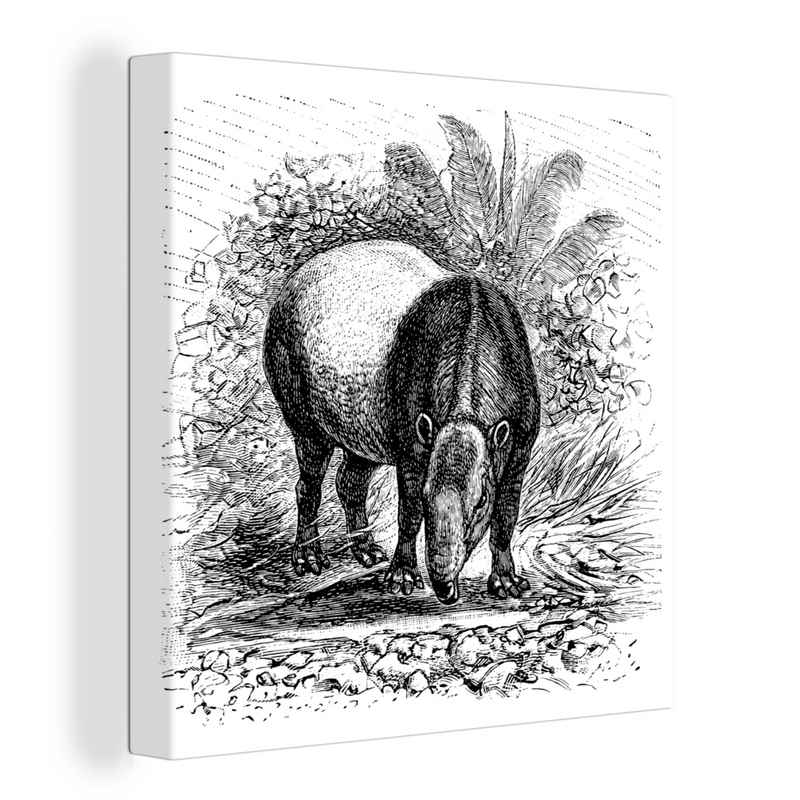 OneMillionCanvasses® Leinwandbild Illustration eines Tapirs in Schwarz-Weiß, (1 St), Leinwand Bilder für Wohnzimmer Schlafzimmer