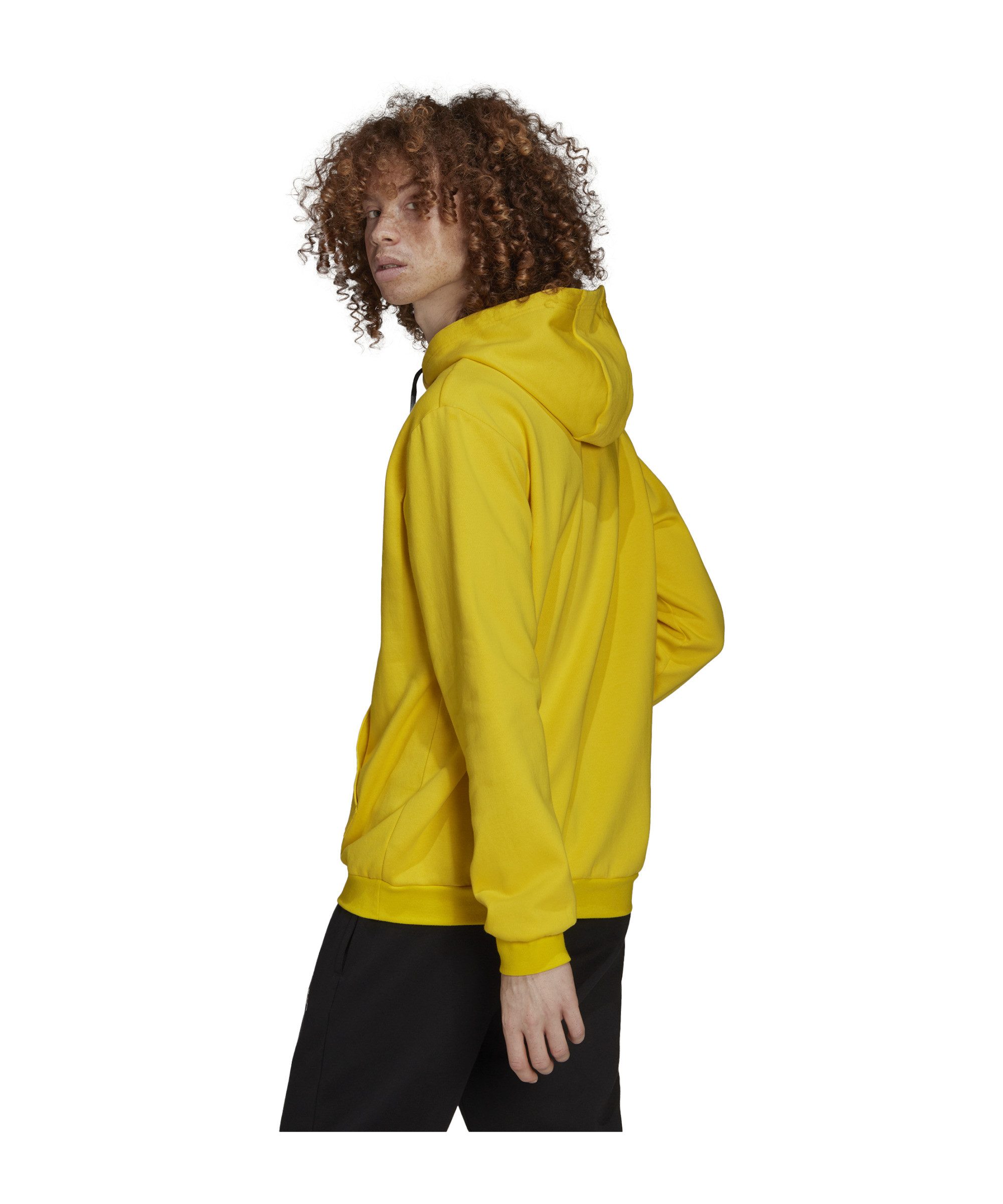 adidas Performance Sweatshirt adidas Performance Entrada 22 Hoody Herren Ba günstig online kaufen