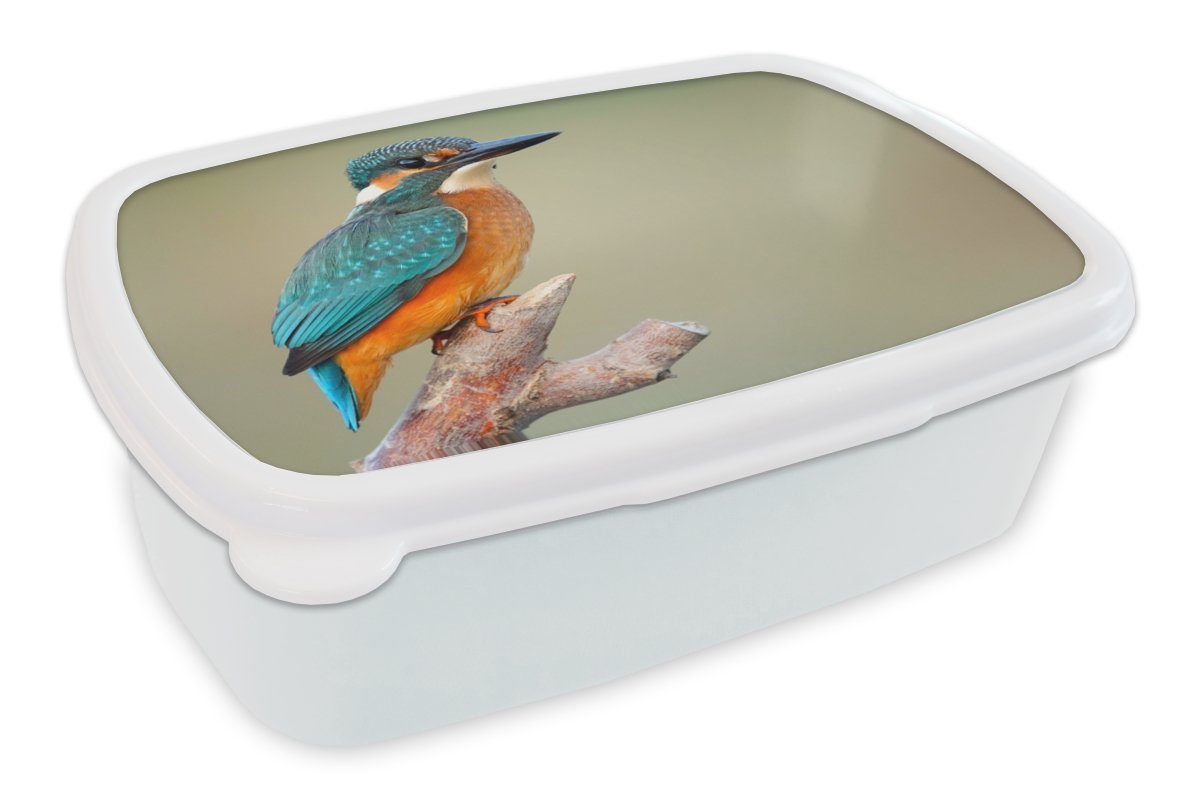 MuchoWow Lunchbox Vogel - Eisvogel - Zweig, Kunststoff, (2-tlg), Brotbox für Kinder und Erwachsene, Brotdose, für Jungs und Mädchen weiß