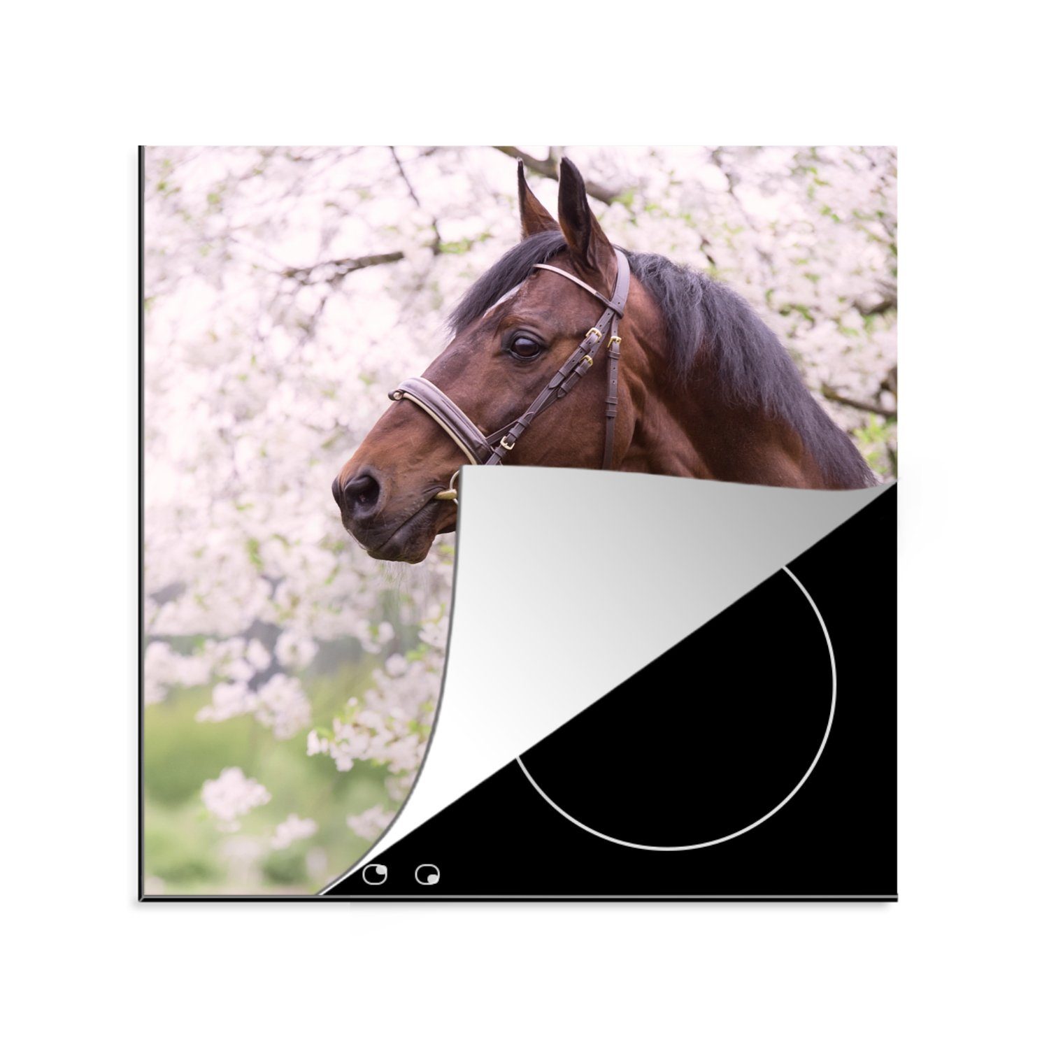 Sakura MuchoWow Arbeitsplatte tlg), - Pferd Vinyl, 78x78 cm, (1 Halfter, küche - Herdblende-/Abdeckplatte für Ceranfeldabdeckung,