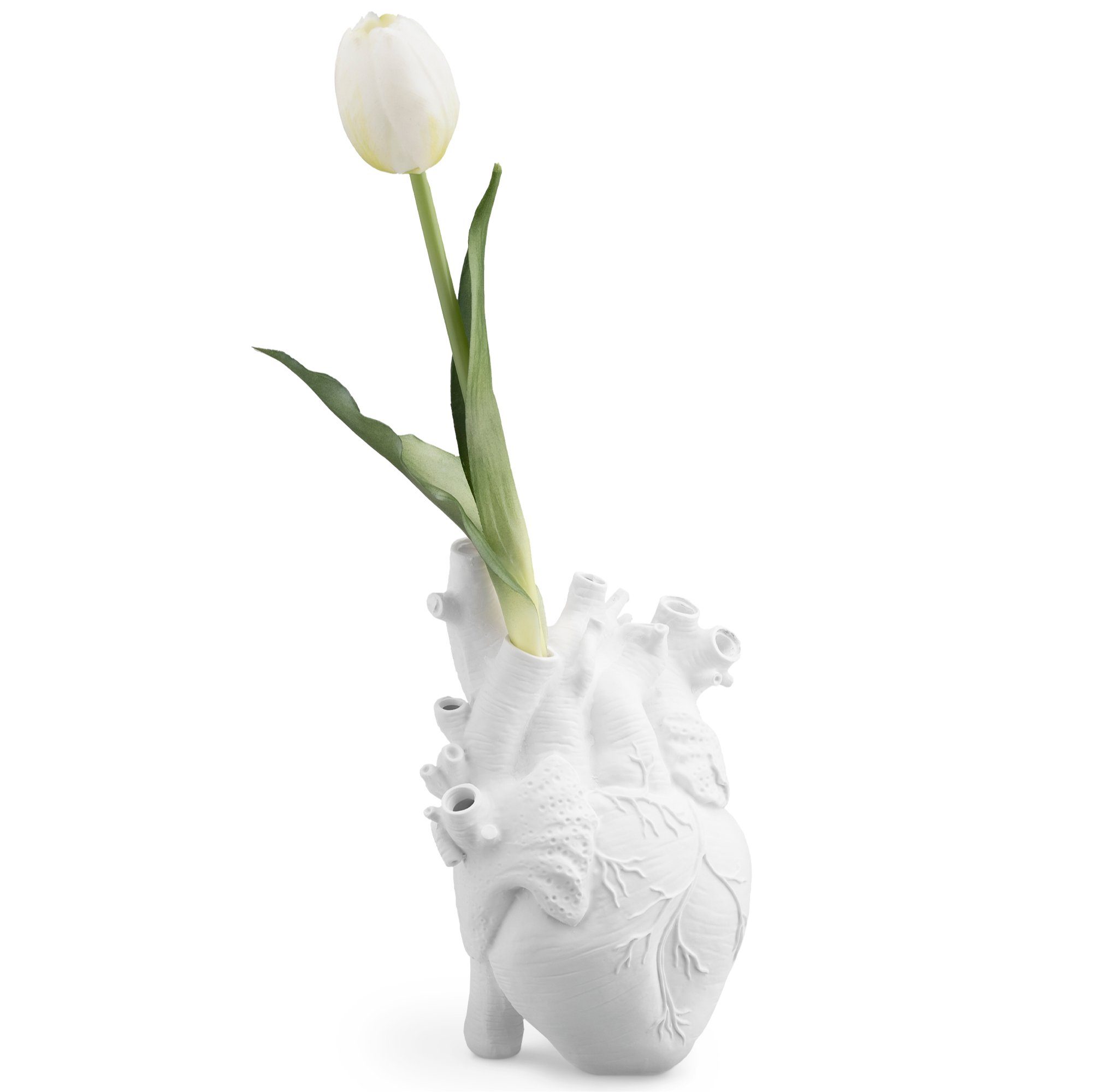 Navaris Dekovase Herz Vase anatomisch - günstig online kaufen