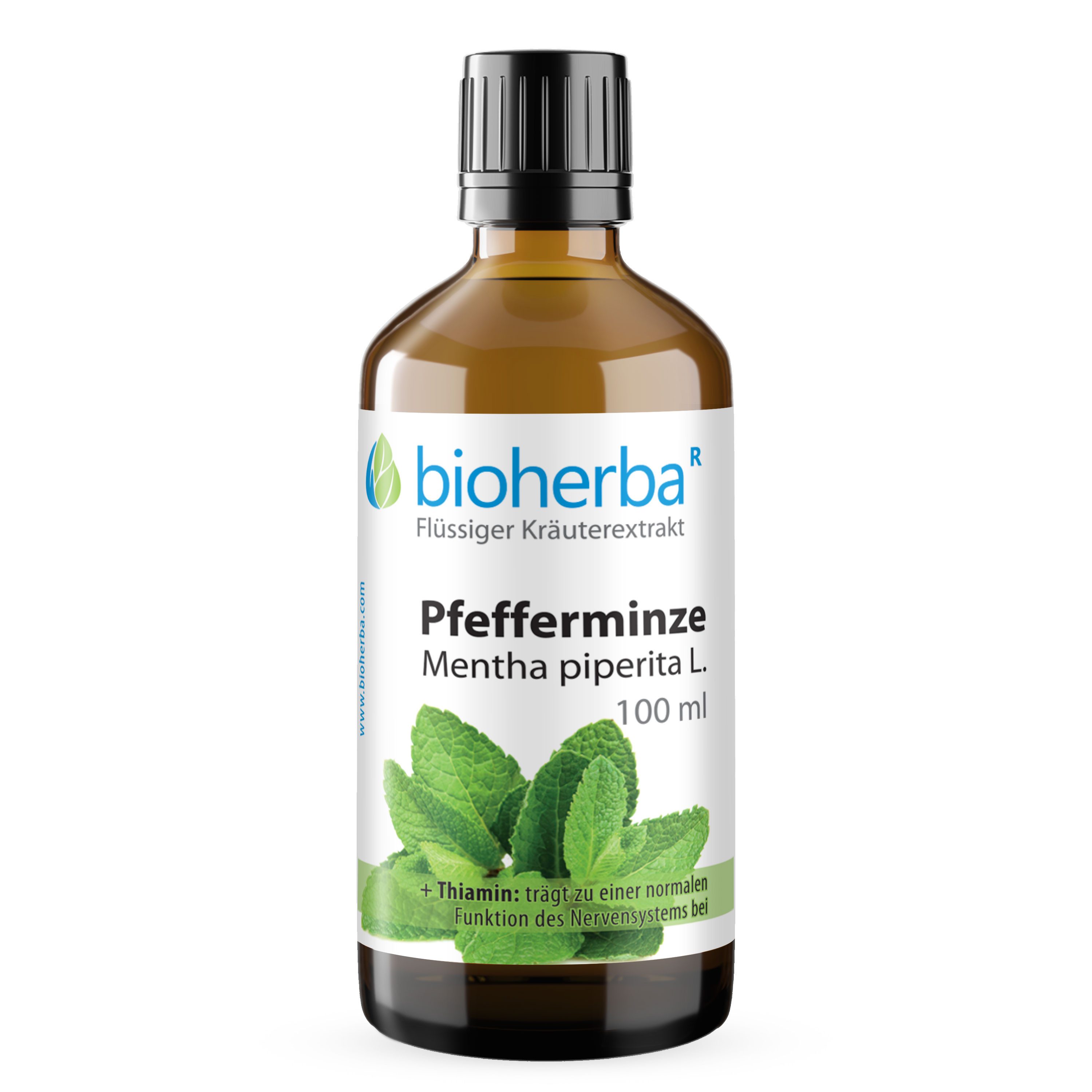 BIOHERBA R Bioherba Pfefferminze Tropfen, Tinktur 100 ml, Mentha piperita L. Glasflasche, 1 er