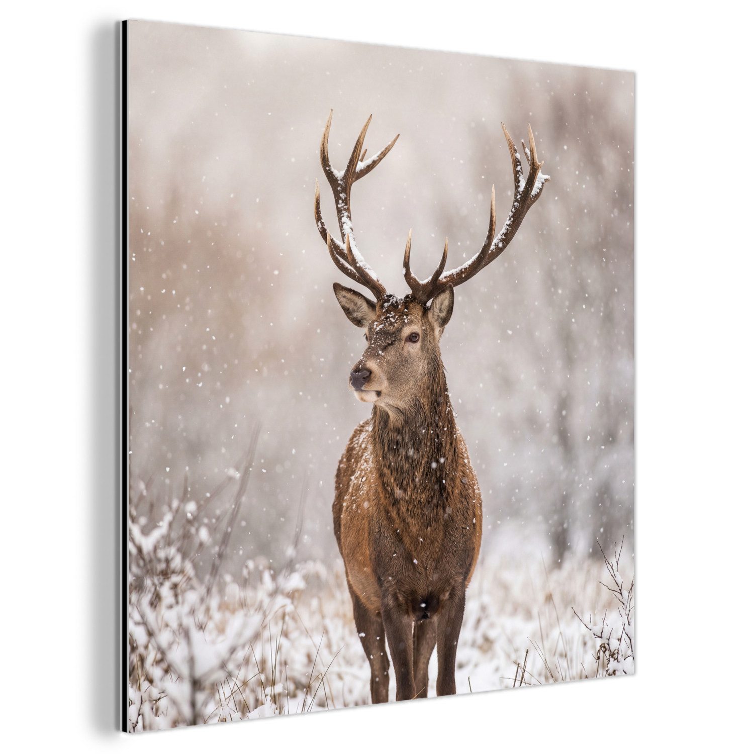 MuchoWow Metallbild Rothirsch - Wald - Schnee - Winter - Majestätisch, Inkl. Aufhängung, Alu-Dibond-Druck, Wandbild aus Metall, Aluminium deko, 20x20 cm