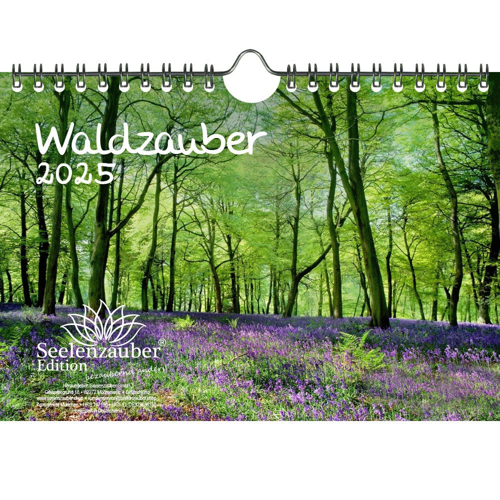 Seelenzauber Wandkalender Waldzauber DIN A5 Kalender für 2025 Baum Bäume Wald Natur