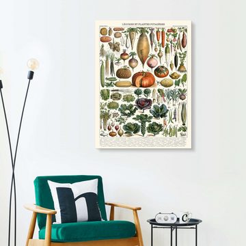 Posterlounge XXL-Wandbild Adolphe Millot, Gemüse und Hülsenfrüchte (französisch), Küche Vintage Illustration