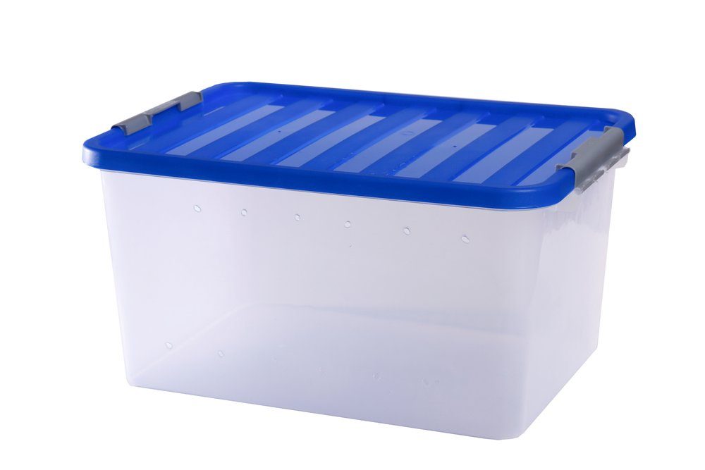 Terrarium Aufzucht und Transport Box medium, 47x34x26,5cm