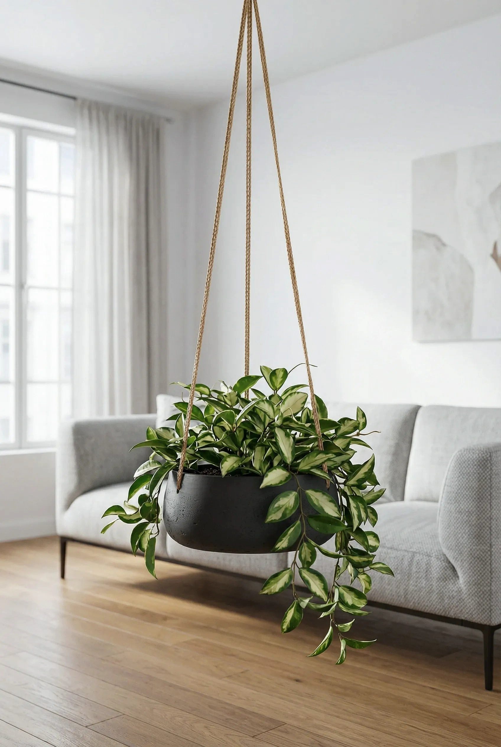 finestgreen Blumenampel Hanging Eileen, Frostfest & UV-beständig – für Innen- und Außenbereich