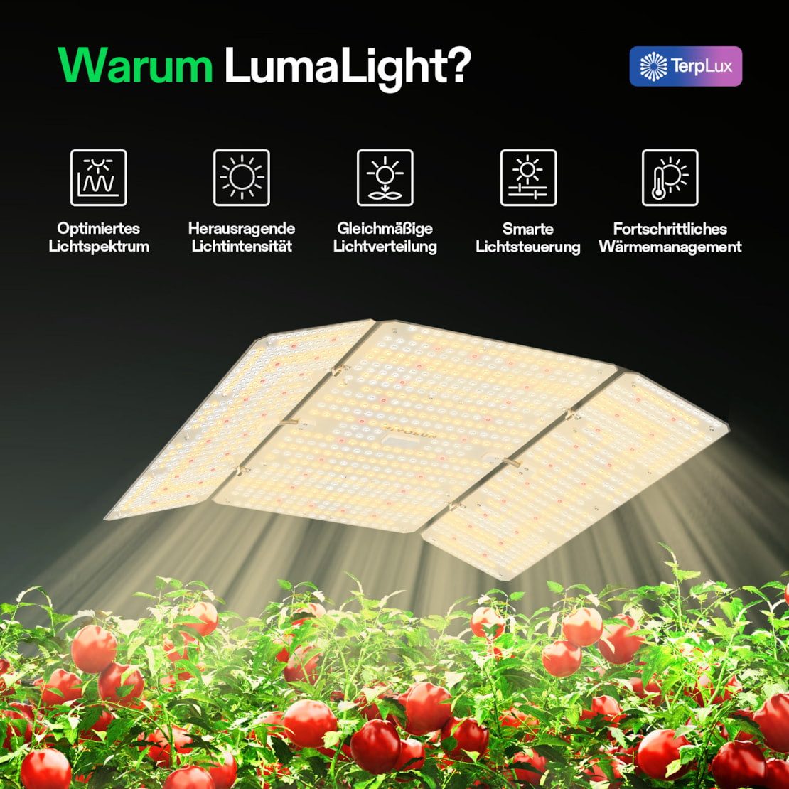 VIVOSUN Pflanzenlampe VIVOSUN LumaLight, LED fest integriert, Vollspektrum, 400W High-PPFD für Indoor-Pflanzen – Bild 2 von 5
