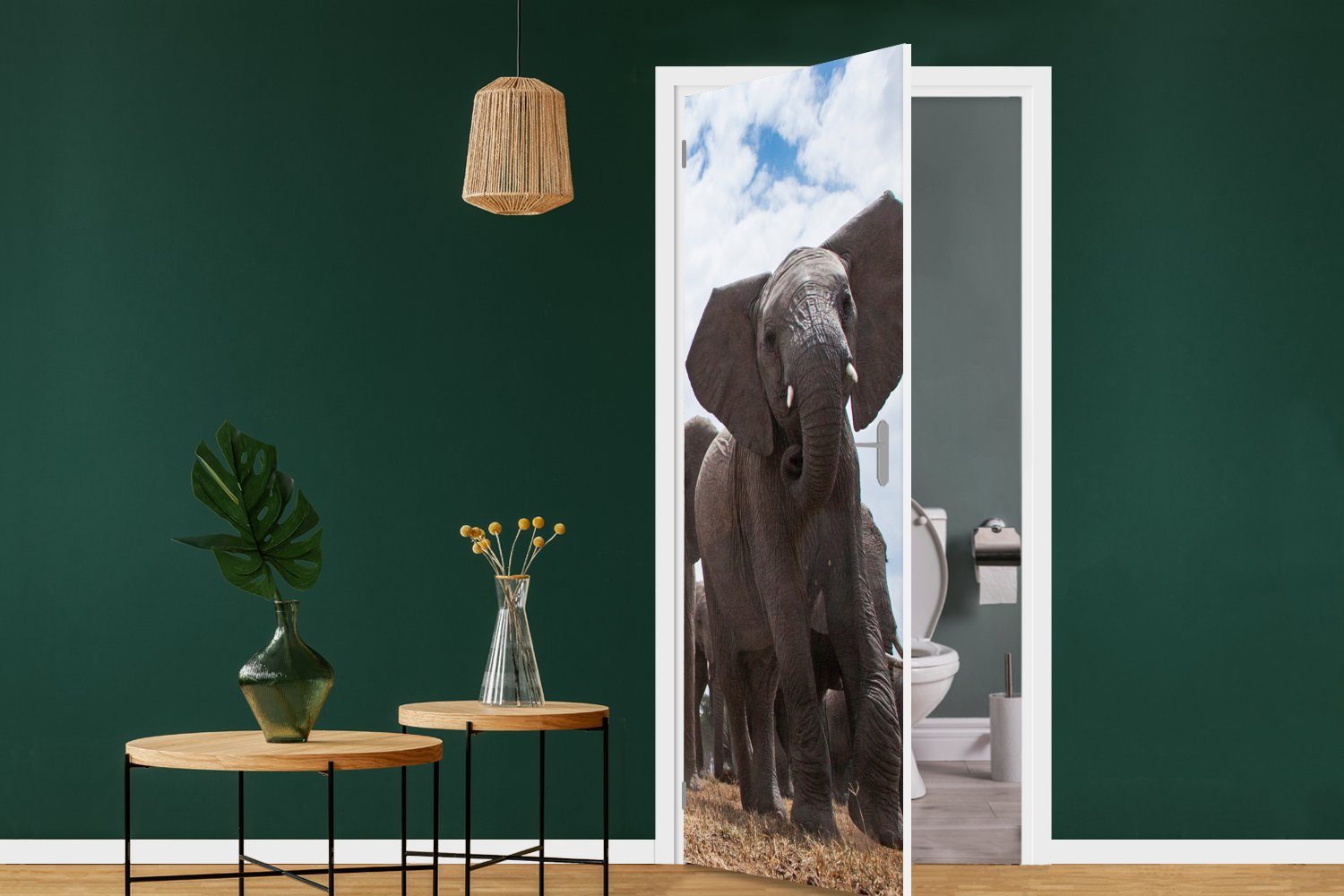 - (1 MuchoWow Türaufkleber, Tür, Natur Tiere Fototapete Matt, - Elefant bedruckt, 75x205 Flachland, Türtapete für - St), cm