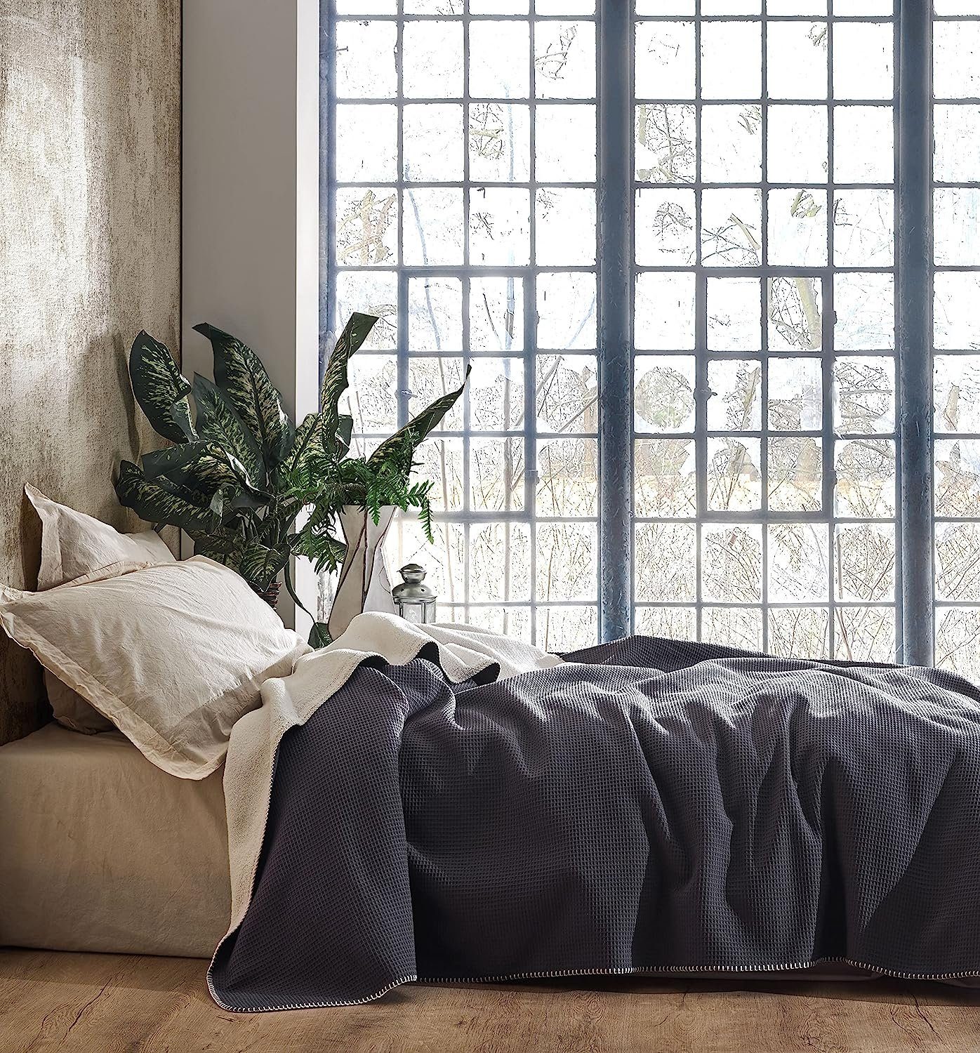 Wohndecke BOHORIA® Kuscheldecke Soft Waffle 110x170cm, günstig online kaufen
