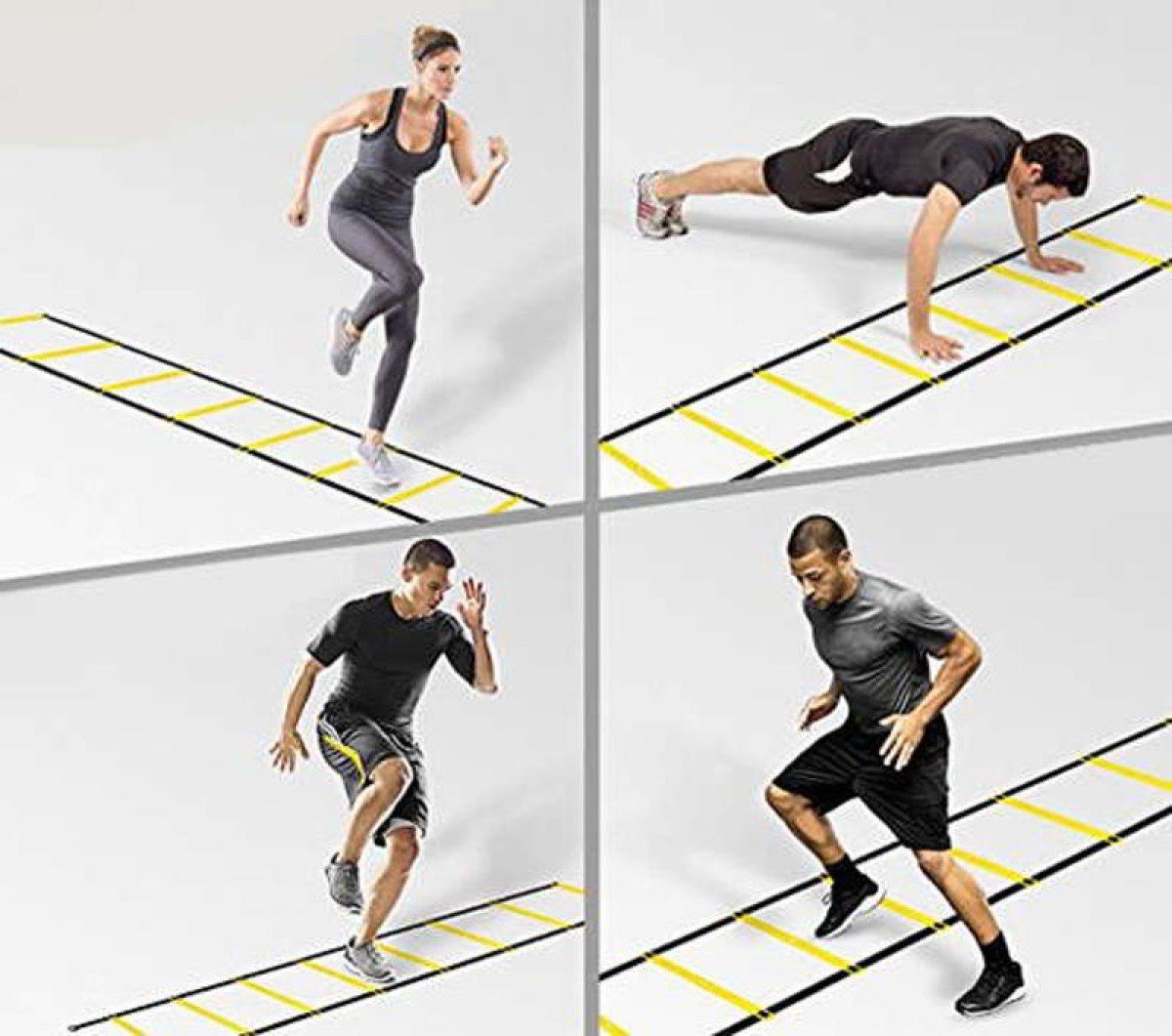 Thumbnail - SBJ Agility-Slalom