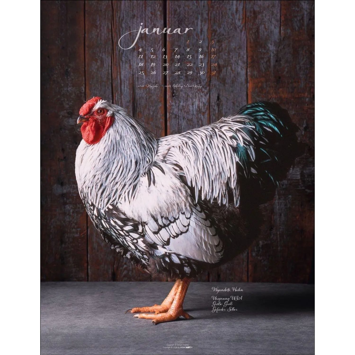 Wandkalender Pretty Chicks Kalender 2027