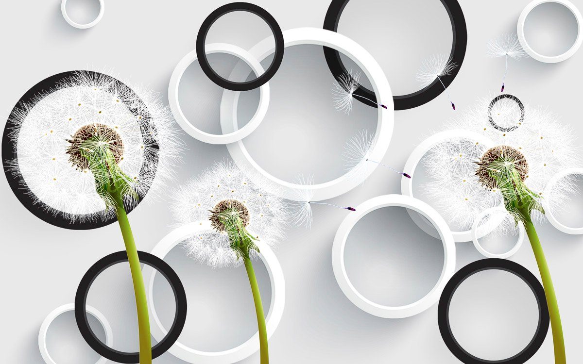 Papermoon Fototapete Muster mit Pusteblumen, Ringe günstig online kaufen