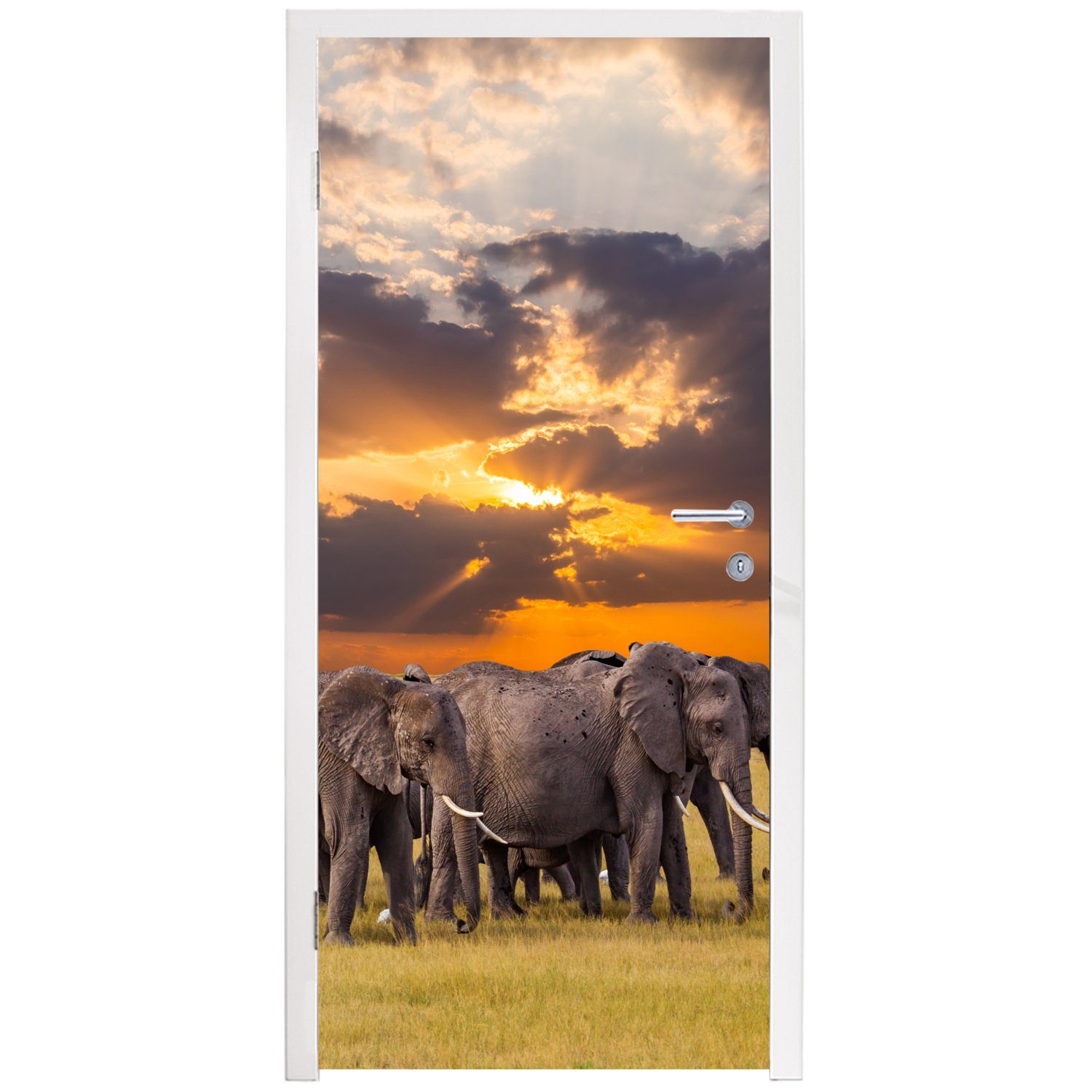 Türtapete Türaufkleber, Matt, Tür, - 75x205 bedruckt, - (1 Gras - für cm Fototapete St), MuchoWow Tiere Elefant - Sonnenuntergang Natur,