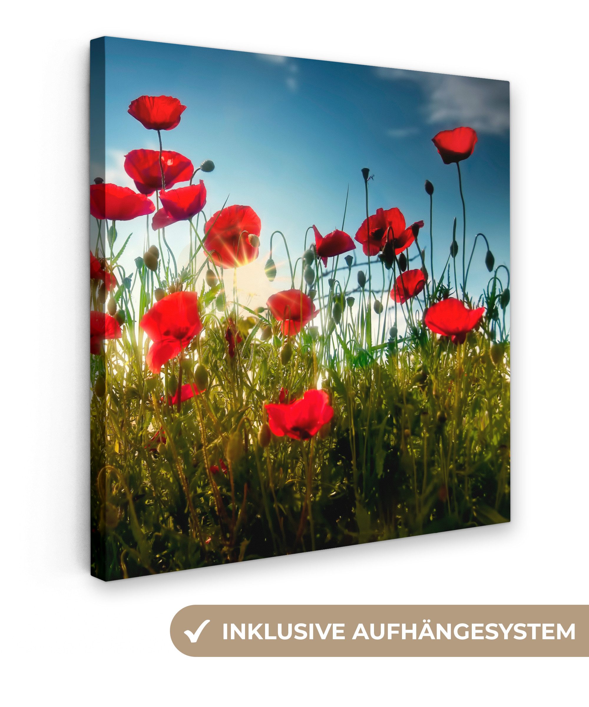 OneMillionCanvasses® Leinwandbild Mohnblumen - Toskana - Sonne - Rot - Blau günstig online kaufen