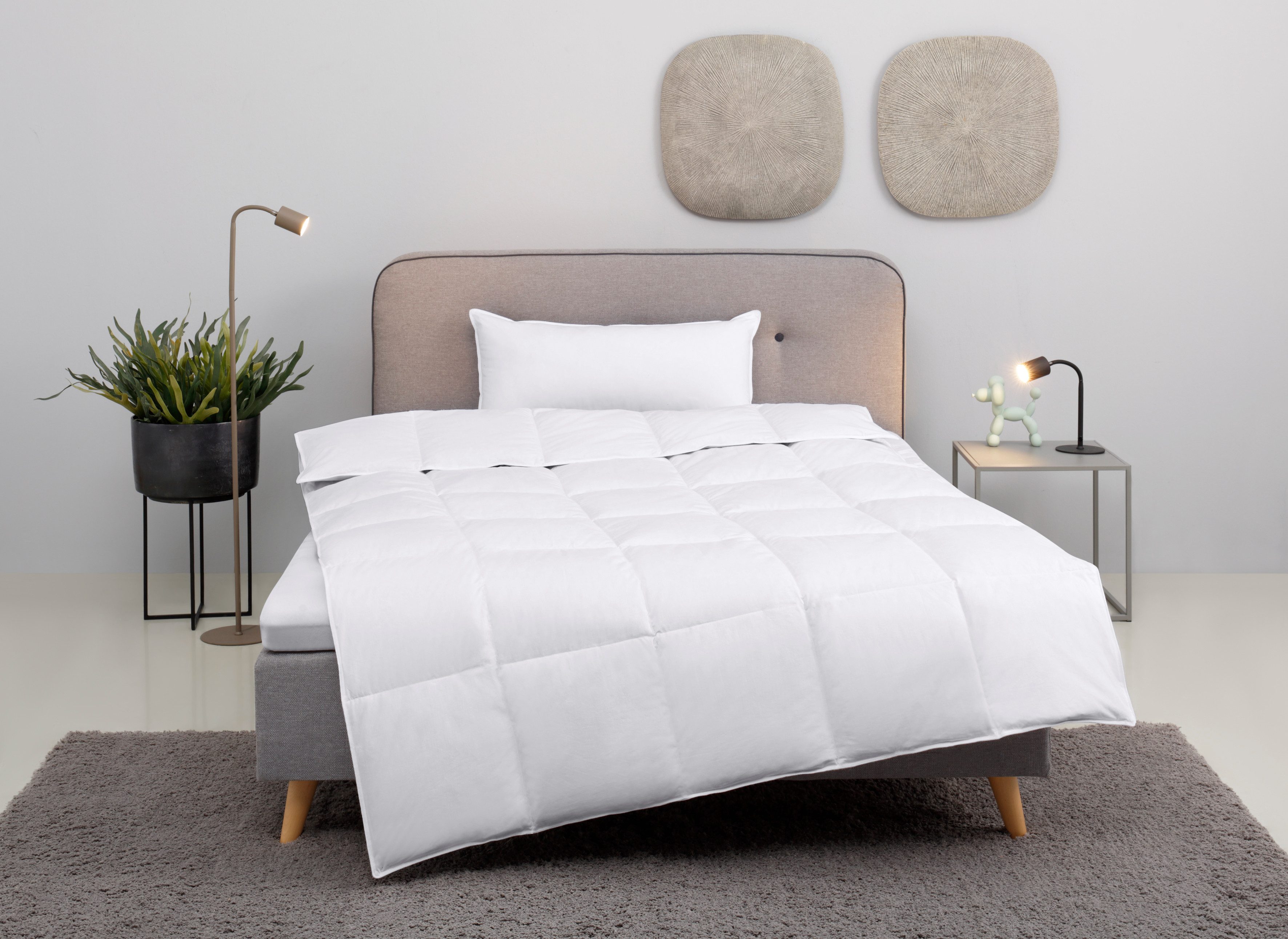 my home Daunenbettdecke + Kopfkissen Cavanelle günstig online kaufen
