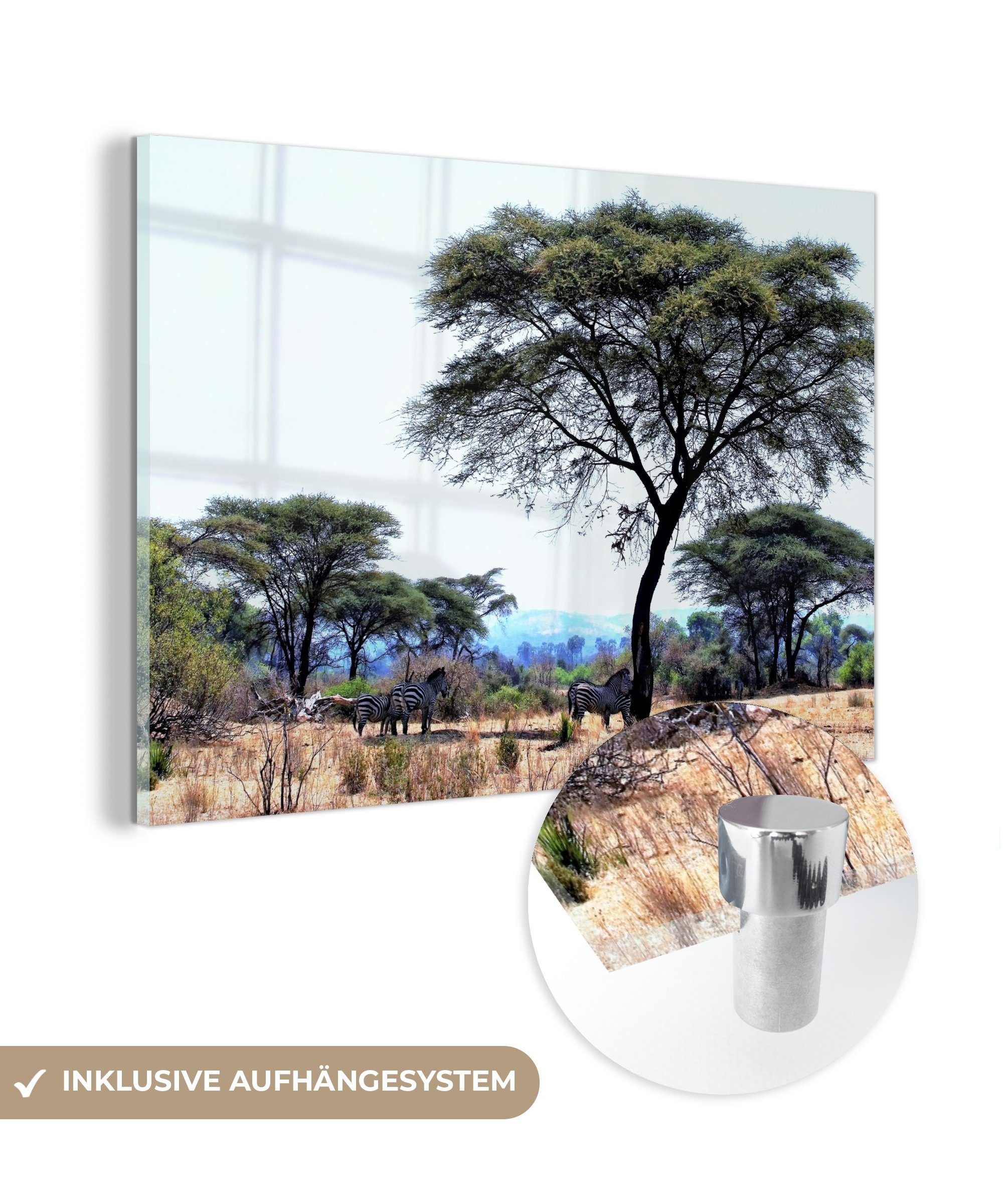 MuchoWow Acrylglasbild Tieren (1 der St), Acrylglasbilder Ruaha-Nationalparks, spenden in den Bäume Savanne des Wohnzimmer Schlafzimmer Hohe &