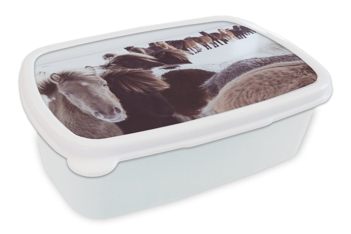 MuchoWow Lunchbox Pferde - Schnee - Weiß, Kunststoff, (2-tlg), Brotbox für Kinder und Erwachsene, Brotdose, für Jungs und Mädchen