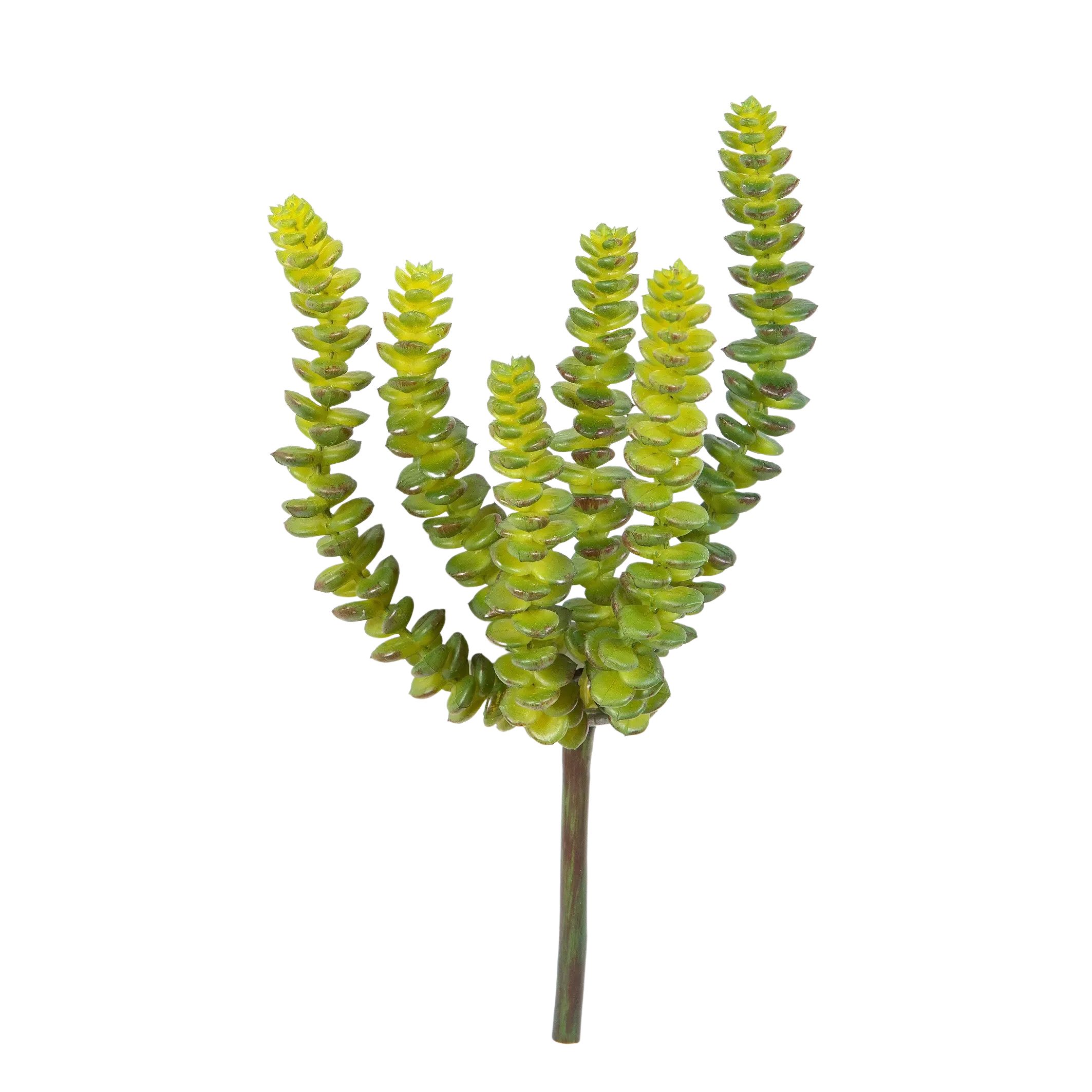 Kunstpflanze Künstliche Crassula - Hedi, 17 cm, aplanta
