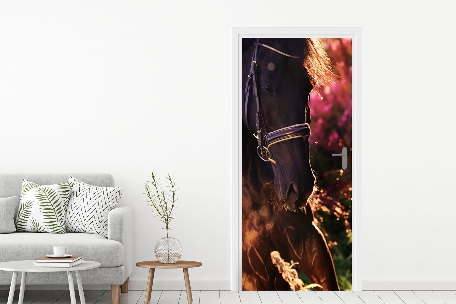 Pferd Sonne (1 Türaufkleber, - St), - 75x205 Matt, bedruckt, cm für Türtapete Tür, Fototapete MuchoWow Porträt,