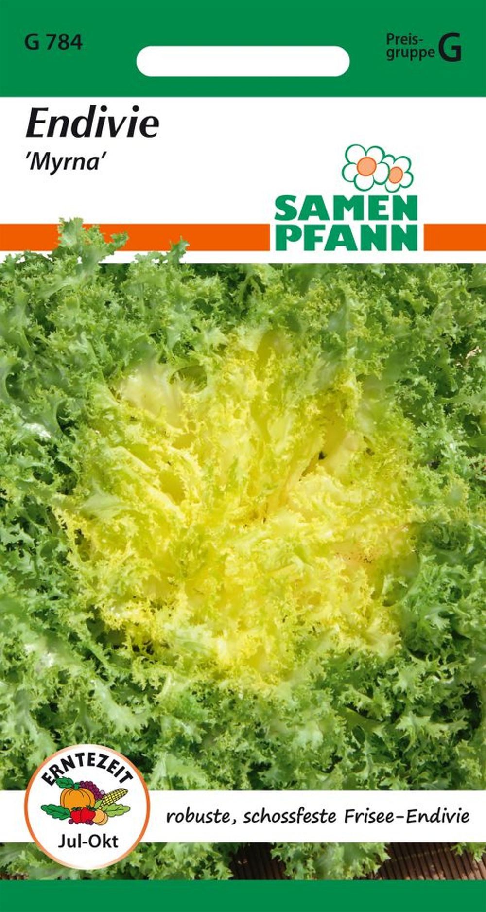 SAMEN PFANN Gemüsesamen Endivie, Winter-, Myrna, Friseesalat - Saatgut Salat-Samen Samen, Cichorium endivia
