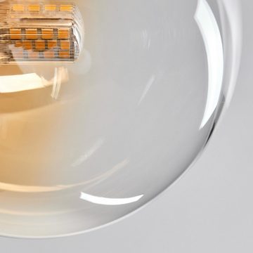 hofstein Deckenleuchte Deckenlampe aus Metall/Glas in Schwarz/Gold-/Rauch-/Bernstein/Klar, ohne Leuchtmittel, moderne Leuchte mit Glasschirmen (12 cm), 8 x G9, ohne Leuchtmittel