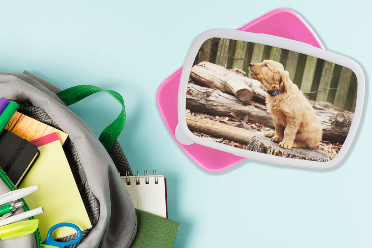 für Hund Lunchbox MuchoWow Mädchen, Natur, Brotdose Brotbox Kunststoff, - Zweig - Kunststoff rosa (2-tlg), Snackbox, Erwachsene, Kinder,