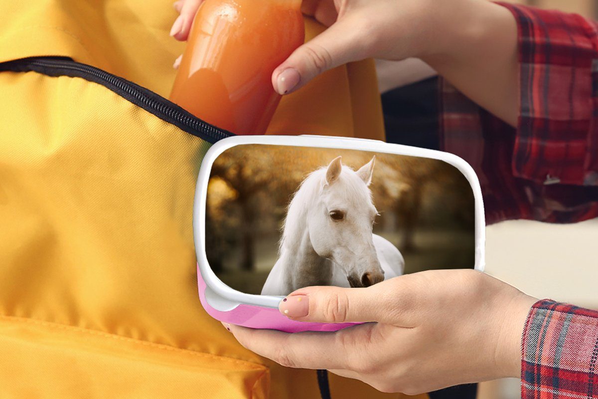 Tiere Sonne Brotbox Erwachsene, Pferd Mädchen, Kunststoff Herbst Brotdose Lunchbox - für Natur, Snackbox, - Kinder, - Kunststoff, (2-tlg), rosa MuchoWow -