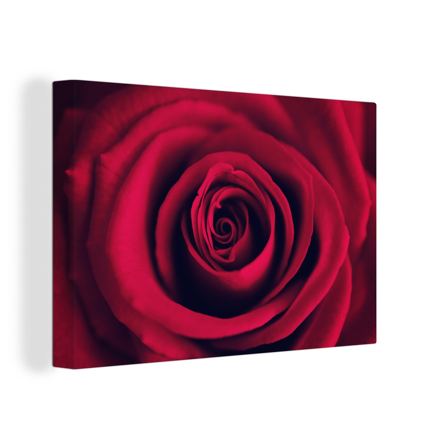 OneMillionCanvasses® Leinwandbild Nahaufnahme einer roten Rose, (1 St), Wandbild Leinwandbilder, Aufhängefertig, Wanddeko, 30x20 cm