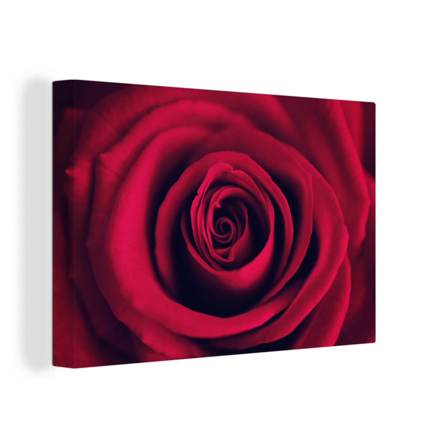 OneMillionCanvasses® Leinwandbild Rosen - Rot - Blumen, Fotodruck (1 St), L günstig online kaufen