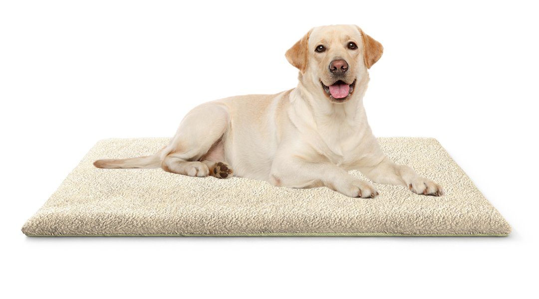 Knuffelwuff Hundematte Thermodecke, Isoliert die Kälte vom Boden günstig online kaufen