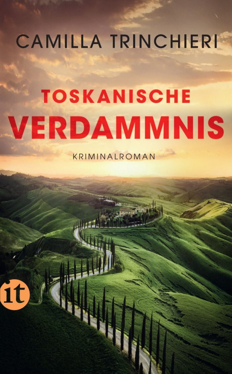 Toskanische Verdammnis − Kriminalroman (Nico Doyle ermittelt 3) / Camilla Trinchieri