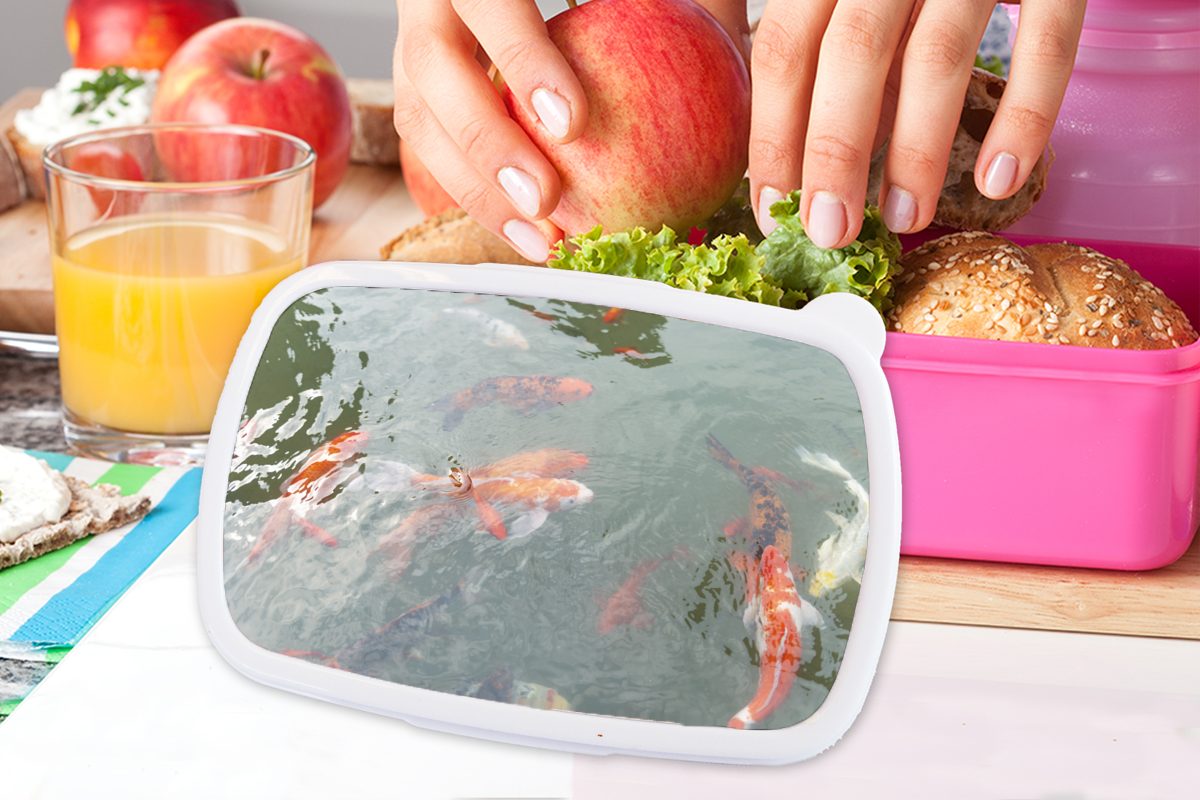 MuchoWow Lunchbox Koi-Karpfen Brotbox für Eine (2-tlg), Erwachsene, Mädchen, Snackbox, Brotdose Kunststoff, Kinder, einem Kunststoff Teich, von in rosa Gruppe