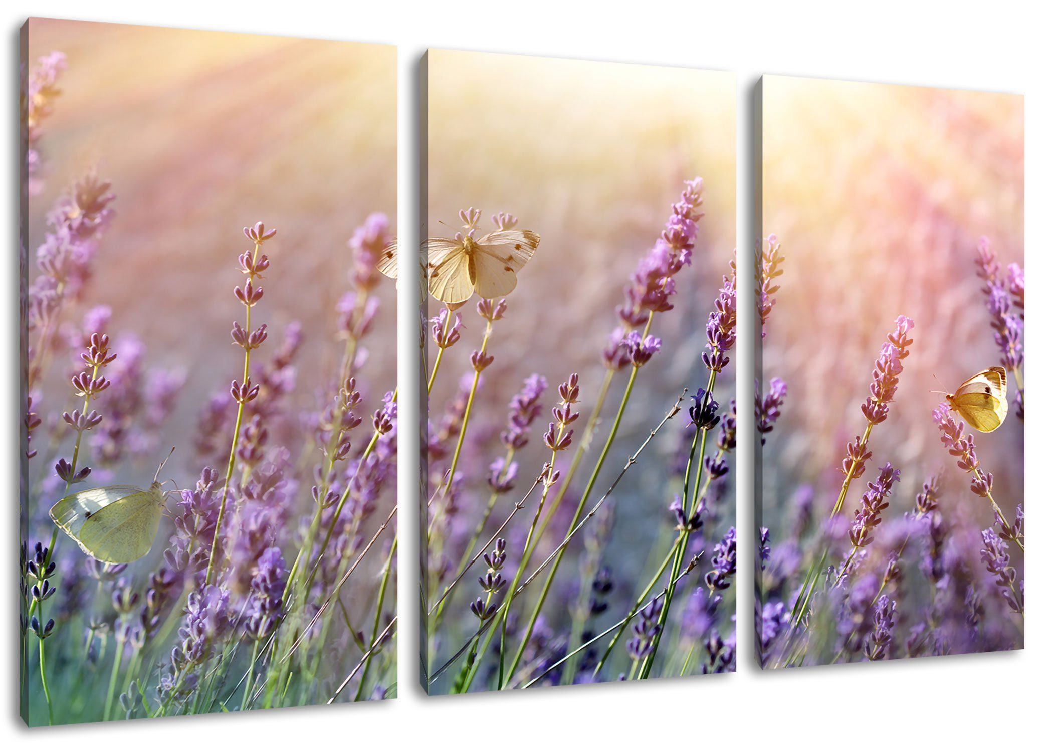Pixxprint Leinwandbild Schmetterlinge auf Leinwandbild Lavendelblumen, Schmetterlinge 3Teiler fertig Zackenaufhänger Lavendelblumen St), (1 bespannt, inkl. auf (120x80cm)