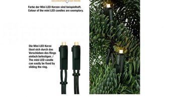 Hellum LED-Lichterkette LED-Lichterkette 30 BS warmweiß/grün, innen