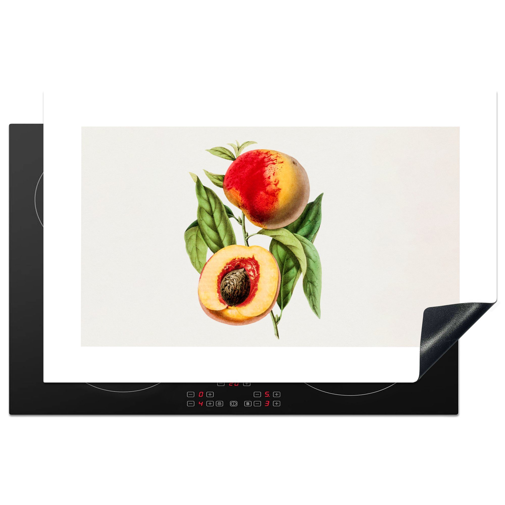 MuchoWow Herdblende-/Abdeckplatte Pfirsich - Lebensmittel - Obst, Vinyl, (1 tlg), 81x52 cm, Induktionskochfeld Schutz für die küche, Ceranfeldabdeckung