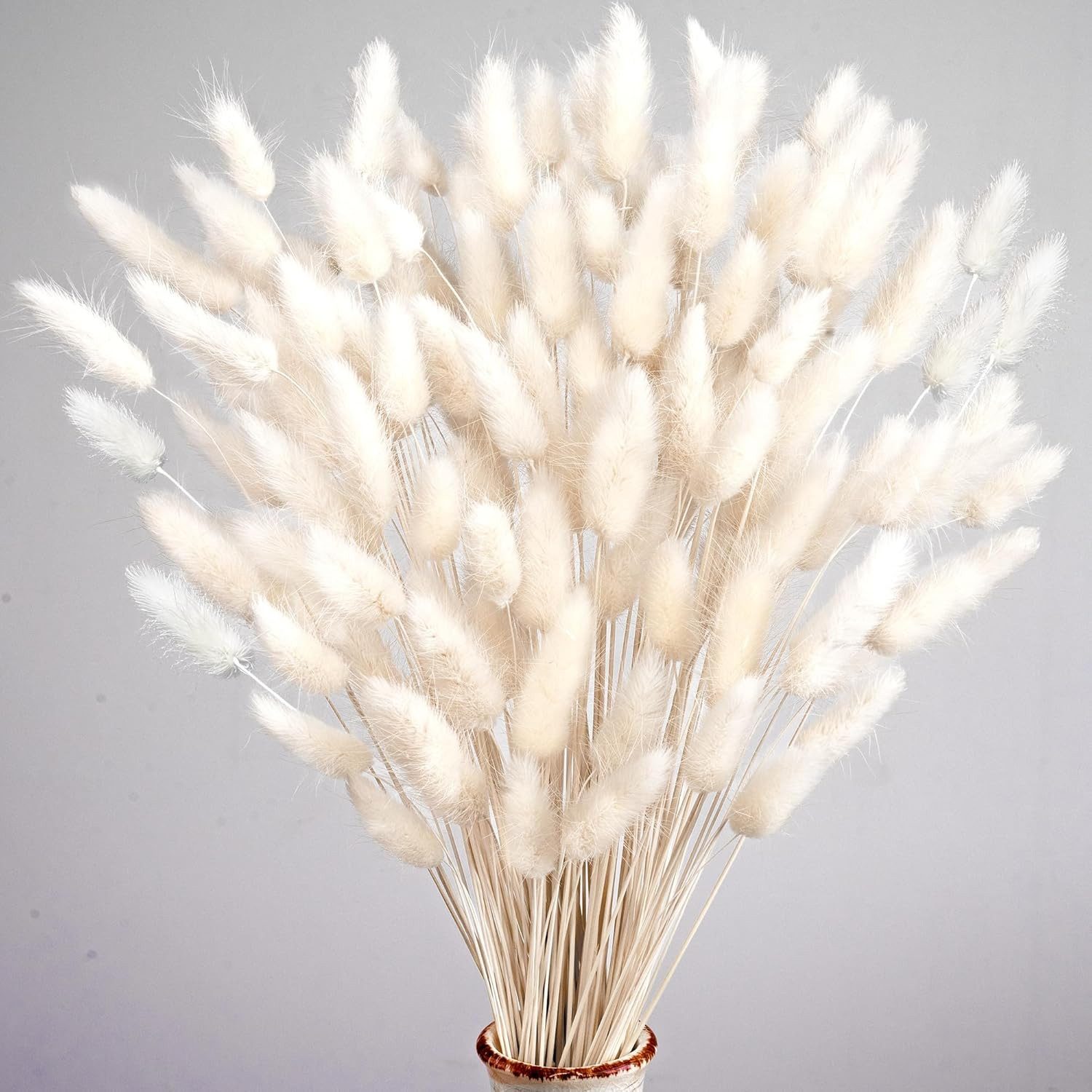 Kunstblume 120 Stück Pampasgras Klein, Hasenschwanzgras Getrocknet Pampasgr günstig online kaufen