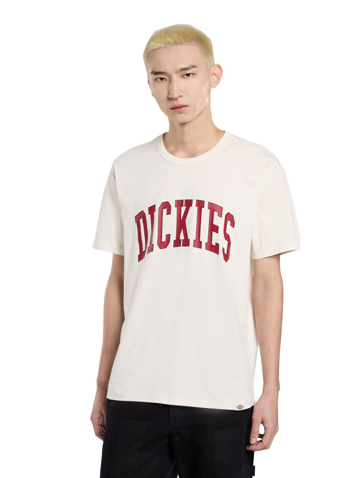 Dickies T-Shirt Dickies Herren T-Shirt Aitkin beige/red