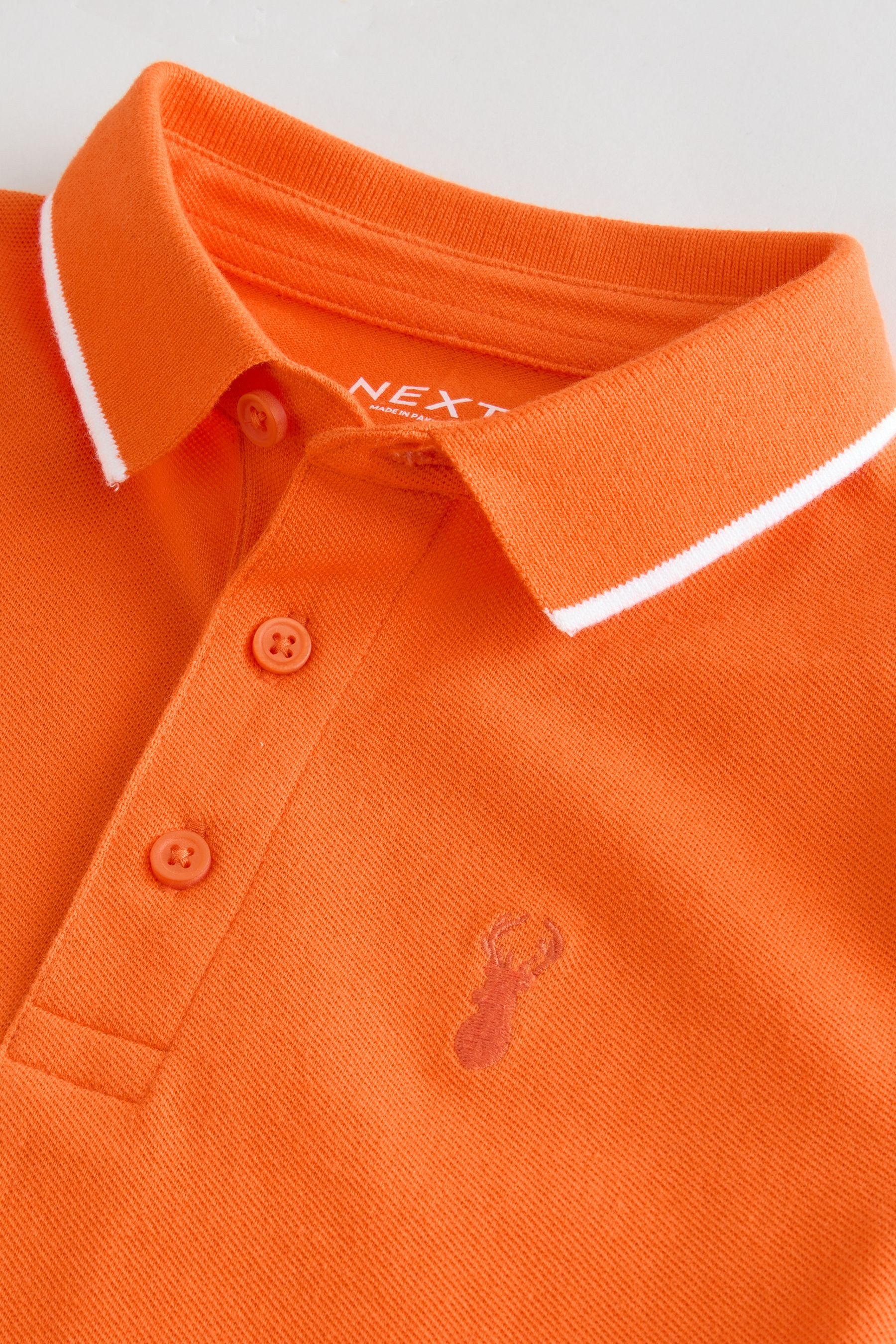 Next Poloshirt Kurzärmeliges Polo-Shirt (1-tlg)