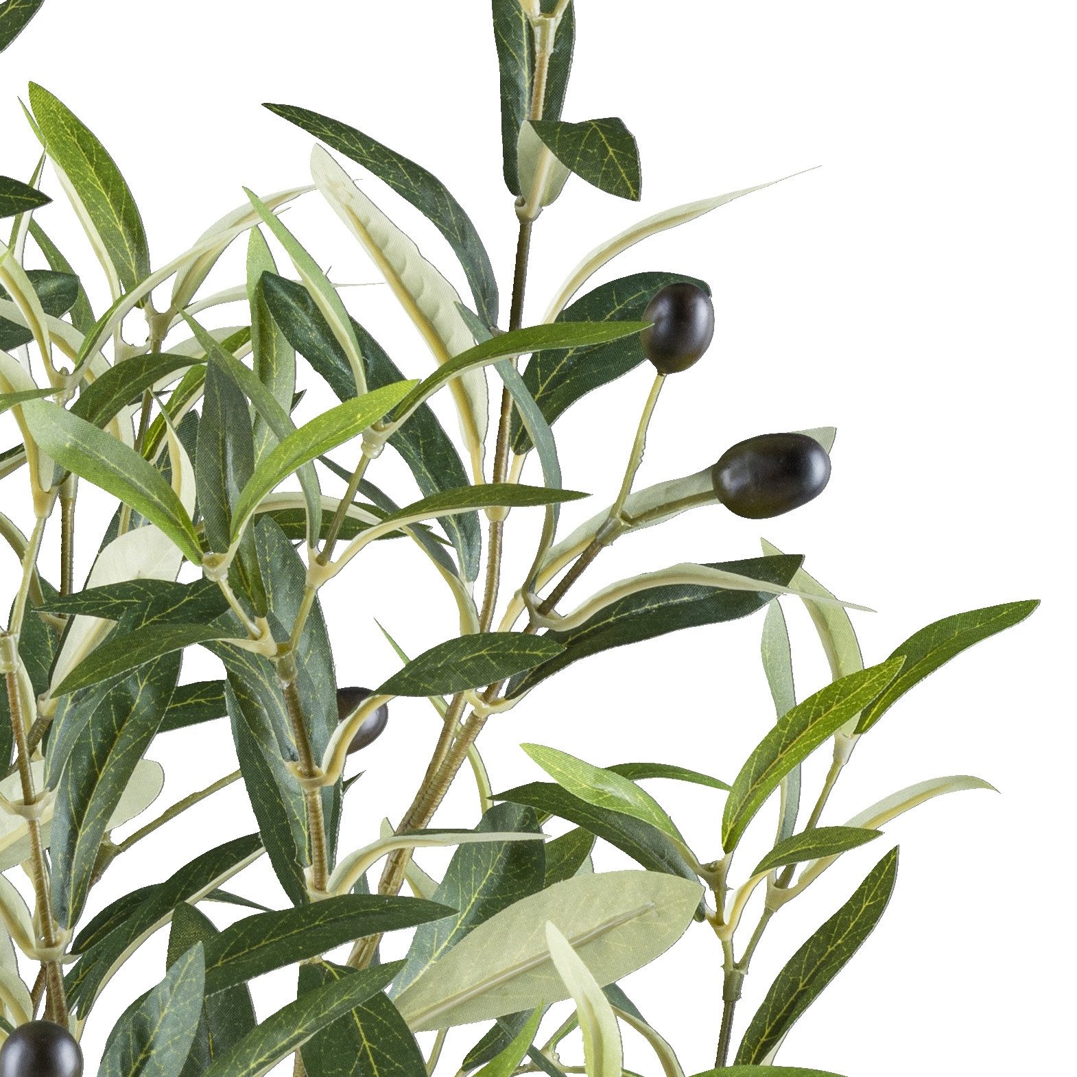 Kunstpflanze Olive, Creativ green, Höhe 70 günstig online kaufen