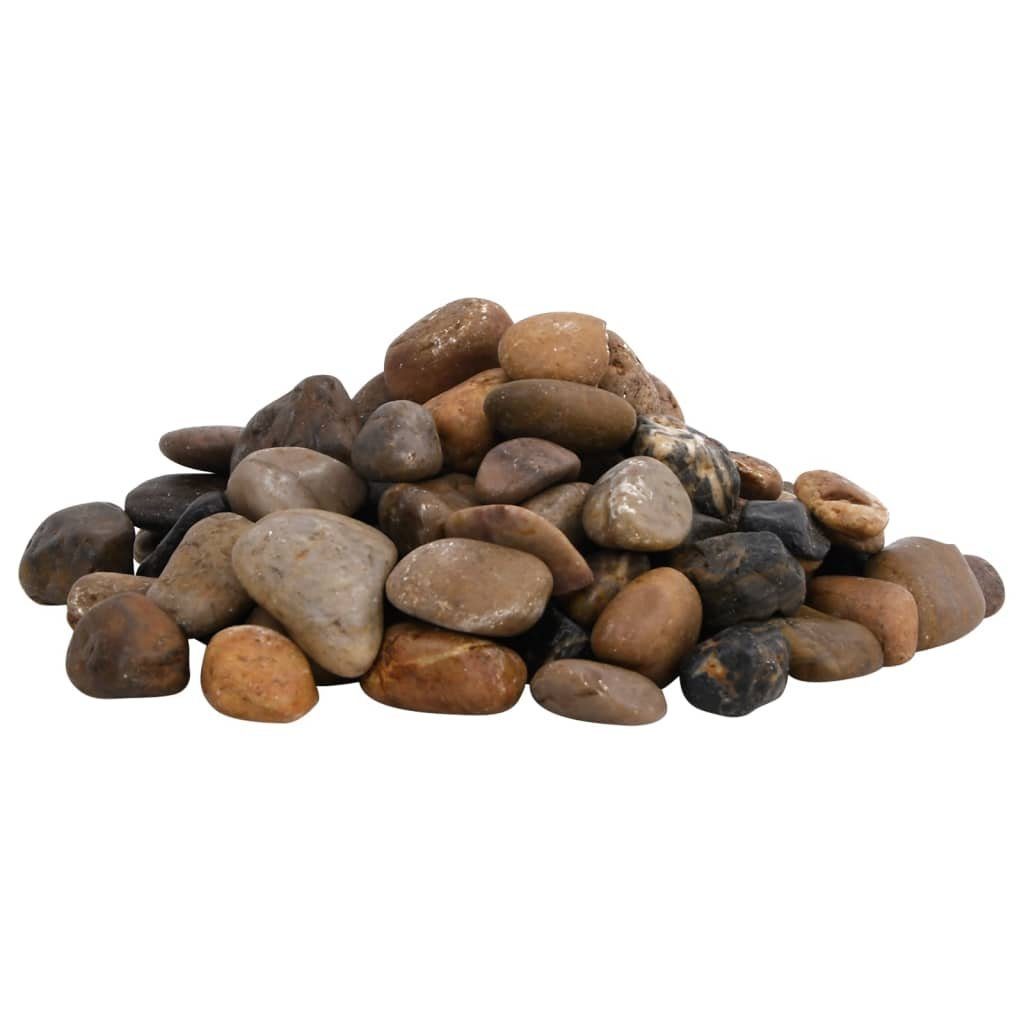 vidaXL Aquariendeko Polierte Kiesel 10 kg Mehrfarbig 2-5 cm
