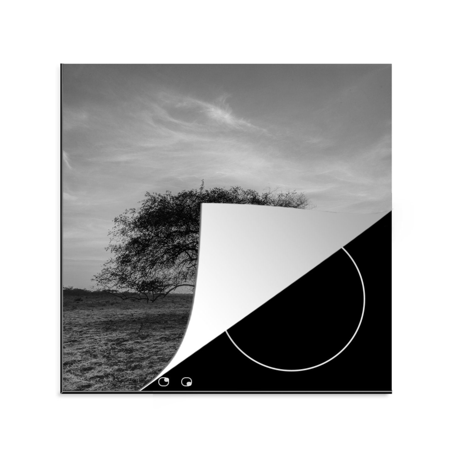Herdblende-/Abdeckplatte cm, für (1 Arbeitsplatte - Ceranfeldabdeckung, MuchoWow Baum tlg), - - 78x78 Schwarz Indonesien Weiß, Vinyl, küche